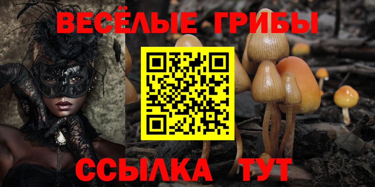 Воркута  Псилоцибиновые грибы прущие грибы  Вход с VPN 